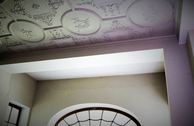 Château à vendre Sosnowiec, Chemiczna 12, Silésie, Décoration en stuc