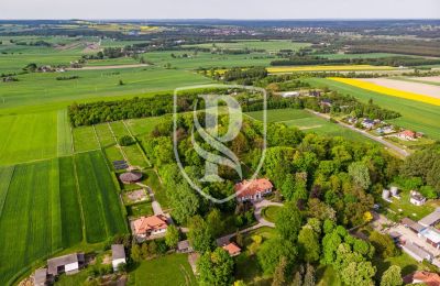 Manoir à vendre Przedbórz, Łódź:  Vue