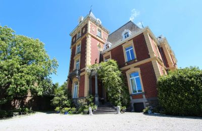 Propriétés, Château Neufais à vendre en Belgique