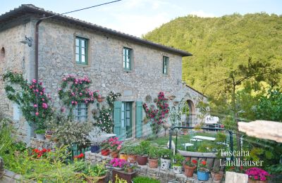 Maison de campagne à vendre Gaiole in Chianti, Toscane:  RIF 3003 Ansicht
