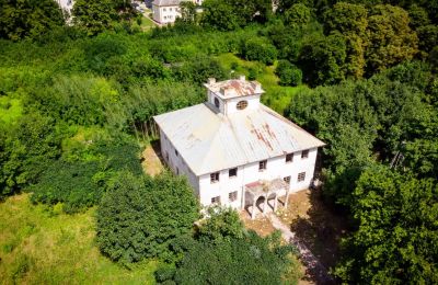 Demeure historique à vendre Wodzisław, Brzezie 23, Sainte-Croix, Dron