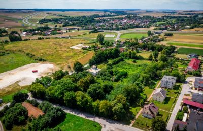 Demeure historique à vendre Wodzisław, Brzezie 23, Sainte-Croix, Image 5/27