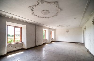 Demeure historique à vendre Wodzisław, Brzezie 23, Sainte-Croix, Image 19/27