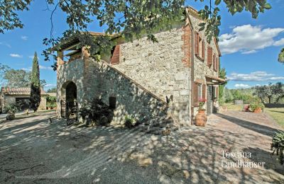 Ferme à vendre Sarteano, Toscane:  RIF 3009 Blick auf Haupthaus