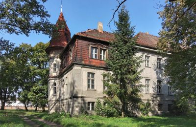 Château à vendre Karczewo, Grande-Pologne, Vue latérale