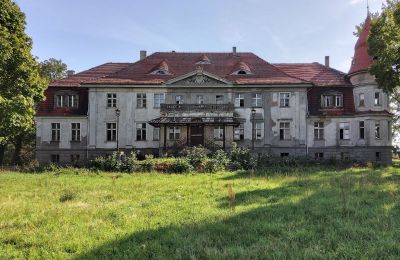 Château à vendre Karczewo, Grande-Pologne, Vue extérieure