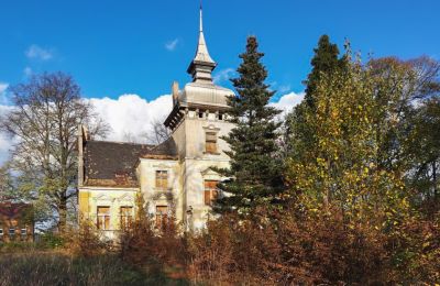 Demeure historique à vendre Lubsko, Milosza 2, Lubusz, Image 1/7