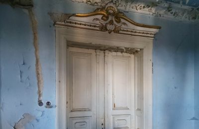 Demeure historique à vendre Lubsko, Milosza 2, Lubusz, Détails