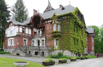 Villa historique à vendre Kudowa-Zdrój, Zdrojowa 36, Basse-Silésie:  Vue latérale