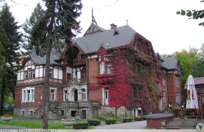 Villa historique à vendre Kudowa-Zdrój, Zdrojowa 36, Basse-Silésie:  