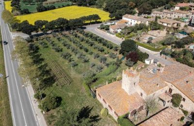 Maison de campagne à vendre Platja d'Aro, Catalogne, Terrain