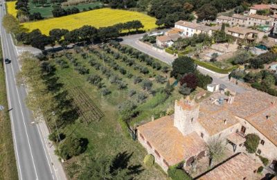 Ferme à vendre Platja d'Aro, Catalogne:  Terrain