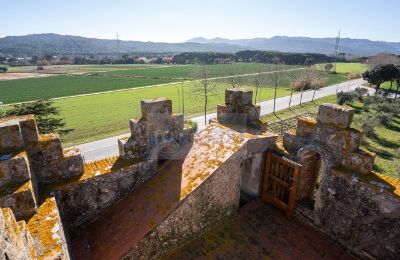 Ferme à vendre Platja d'Aro, Catalogne:  