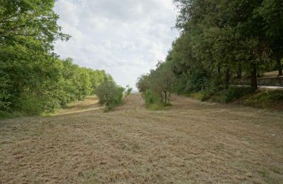Maison de campagne à vendre Città di Castello, Ombrie, Image 12/23