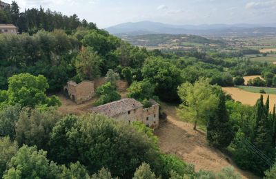 Maison de campagne à vendre Città di Castello, Ombrie, Image 4/23