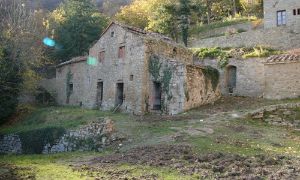 Château San Leo Bastia 5