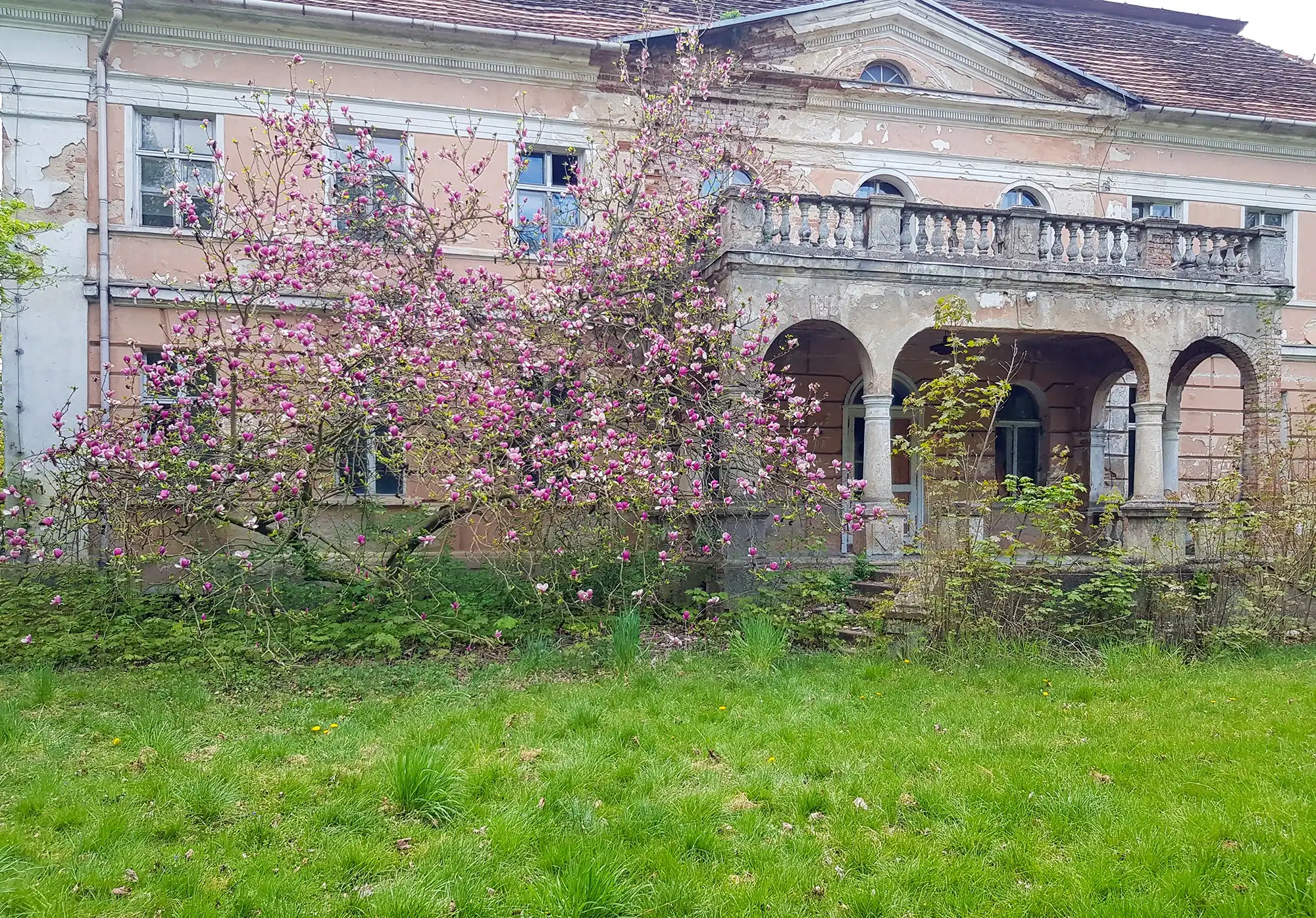 Photos Manoir néoclassique à vendre, Wielkopolska