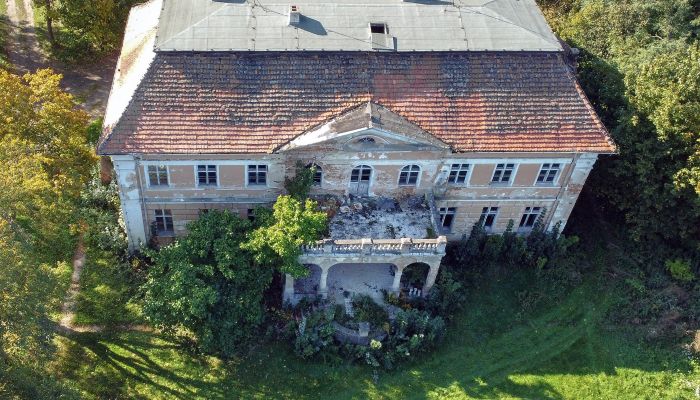 Manoir à vendre Granówko, Grande-Pologne,  Pologne