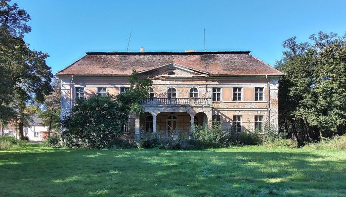 Manoir à vendre Granówko, Grande-Pologne,  Pologne