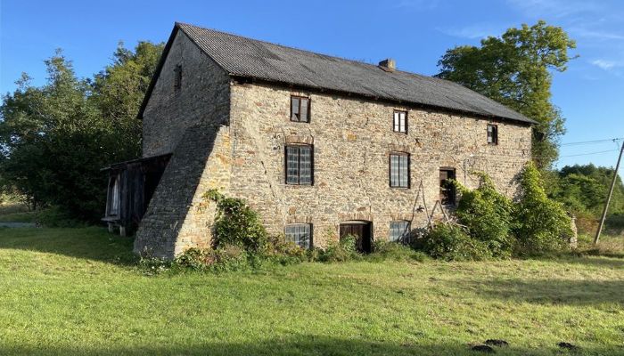 Moulin à vendre Pawłów, Mazovie,  Pologne