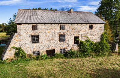 Moulin à vendre Pawłów, Mazovie:  