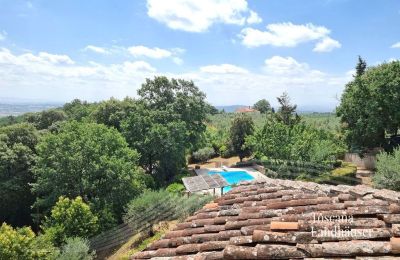 Maison de campagne à vendre Monte San Savino, Toscane:  RIF 3008 Pool und Umgebung