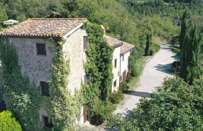 Maison de campagne à vendre 06014 Montone, Ombrie, Image 4/36