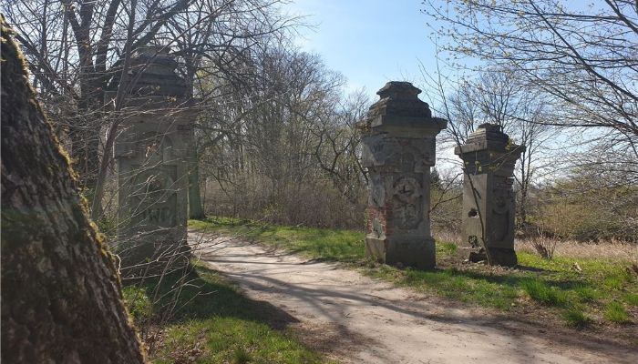 Parc historique Dębe Wielkie 2