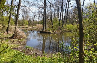 Parc historique à vendre Dębe Wielkie, Ruda, Mazovie:  