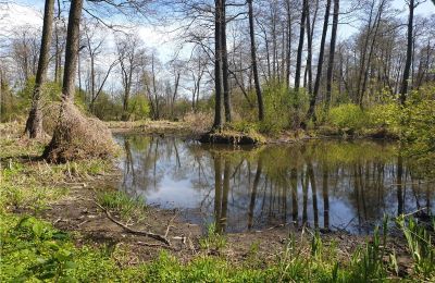 Parc historique à vendre Dębe Wielkie, Ruda, Mazovie, Image 9/24