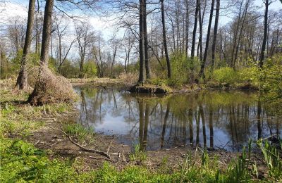 Parc historique à vendre Dębe Wielkie, Ruda, Mazovie:  