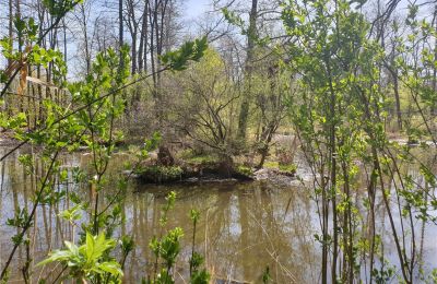 Parc historique à vendre Dębe Wielkie, Ruda, Mazovie:  