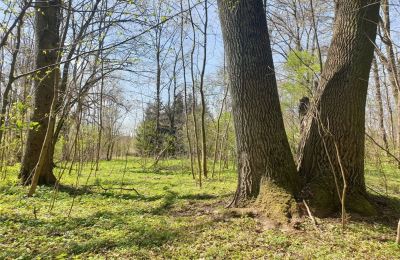 Parc historique à vendre Dębe Wielkie, Ruda, Mazovie:  