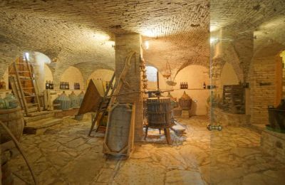 Maison de campagne à vendre Lerchi, Ombrie:  Cave