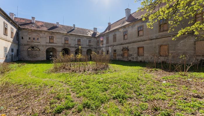 Château à vendre Cítoliby, Région d'Ústí nad Labem