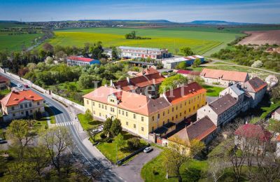 Château à vendre Cítoliby, Zamek Cítoliby, Ústecký kraj:  Drone