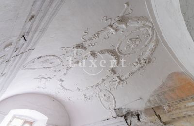 Château à vendre Cítoliby, Zamek Cítoliby, Ústecký kraj, Décoration en stuc