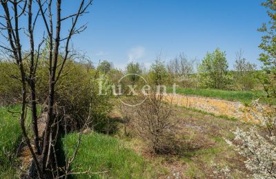 Château à vendre Brody, Zámek Brody, Ústecký kraj, Image 14/19