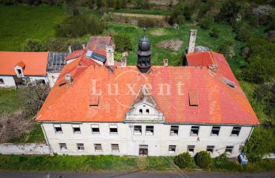 Château à vendre Brody, Zámek Brody, Ústecký kraj:  Toit