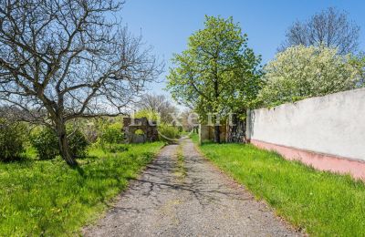 Château à vendre Brody, Zámek Brody, Ústecký kraj, Image 15/19