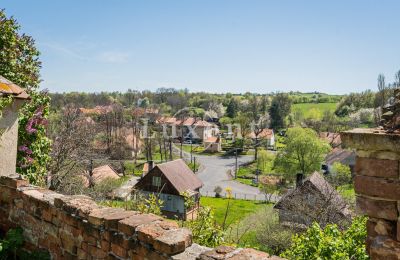 Château à vendre Brody, Zámek Brody, Ústecký kraj:  