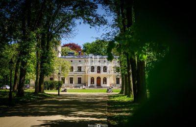 Château à vendre Toruń, Cujavie-Poméranie:  