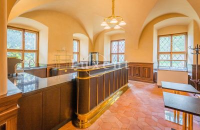 Château à vendre Mirošov, Zámek Mirošov, Plzeňský kraj, Image 19/30