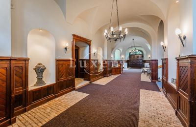 Château à vendre Mirošov, Zámek Mirošov, Plzeňský kraj, Hall d'entrée