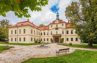Château à vendre Mirošov, Zámek Mirošov, Plzeňský kraj:  Jardin