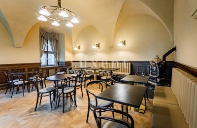 Château à vendre Mirošov, Zámek Mirošov, Plzeňský kraj, Image 17/30