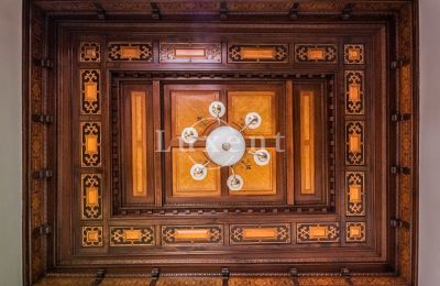Château à vendre Mirošov, Zámek Mirošov, Plzeňský kraj, Image 12/30