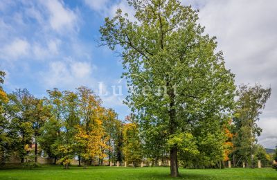 Château à vendre Mirošov, Zámek Mirošov, Plzeňský kraj, Image 24/30