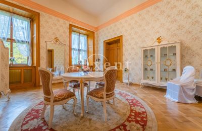 Château à vendre Mirošov, Zámek Mirošov, Plzeňský kraj, Image 20/30
