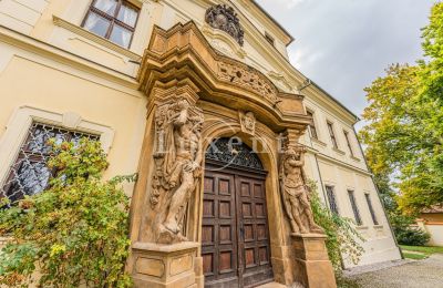 Château à vendre Mirošov, Zámek Mirošov, Plzeňský kraj, Image 29/30